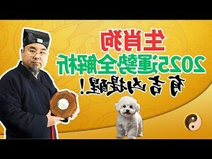 屬狗 五行